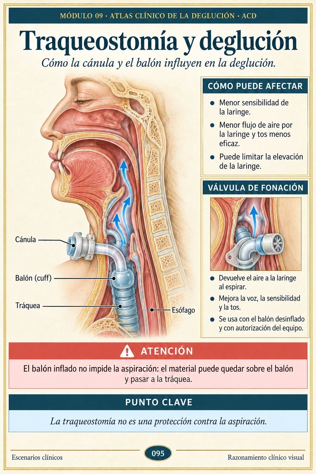 Página de muestra 095 del atlas