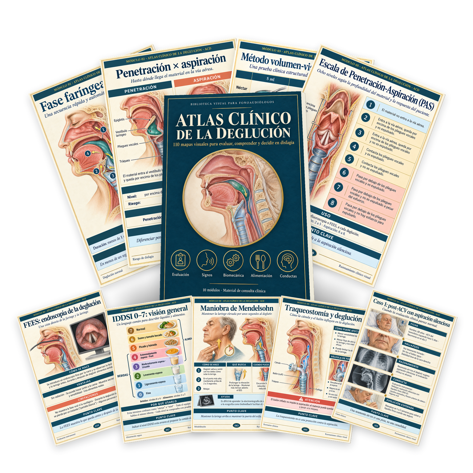 Mockup del Atlas Clínico de la Deglución: la portada rodeada por los mapas de los módulos